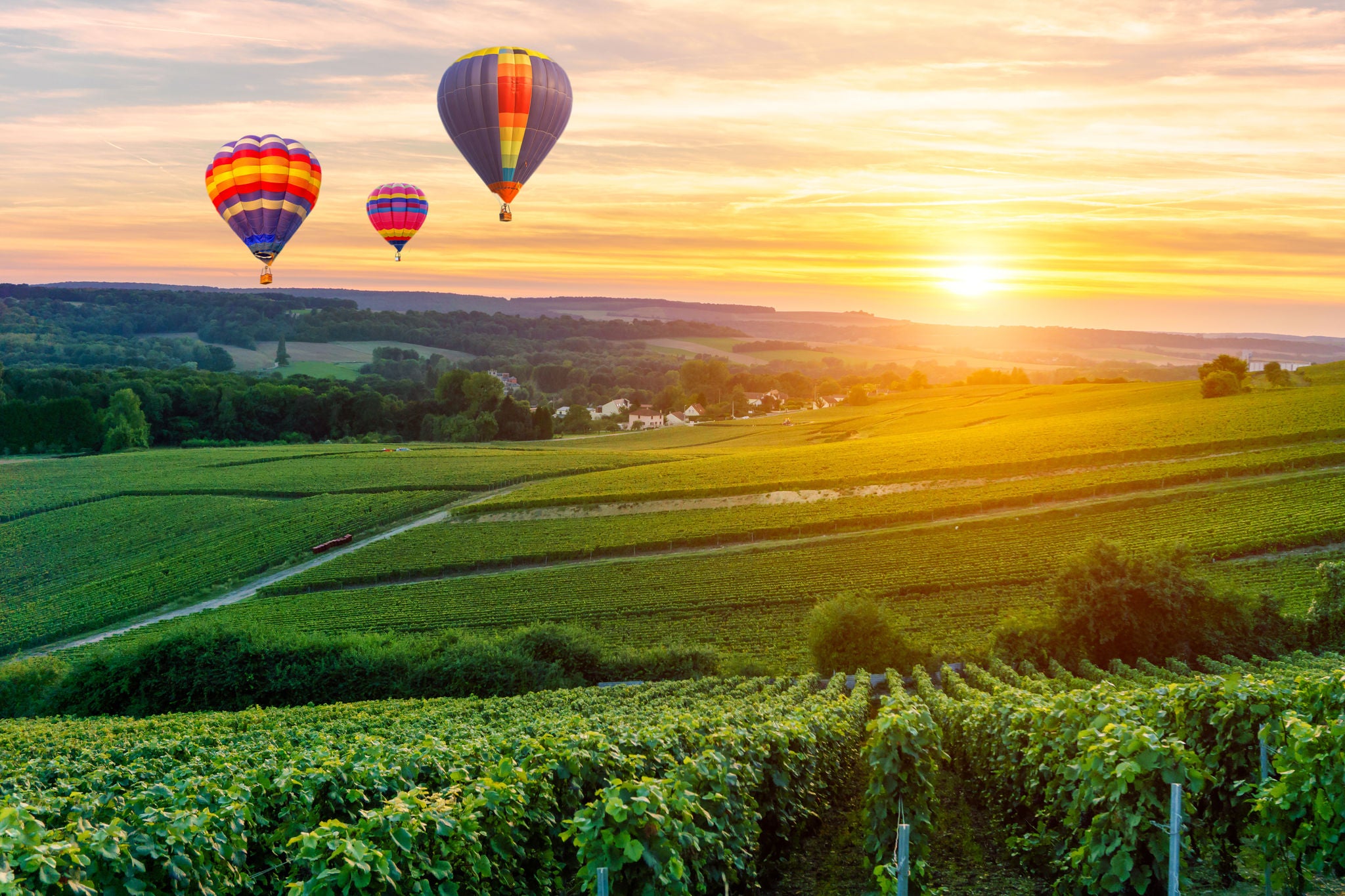 Hot air balloons flying over Champagne region