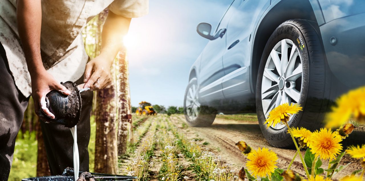 Collage of a field with dandelions, a person harvesting rubber and a car