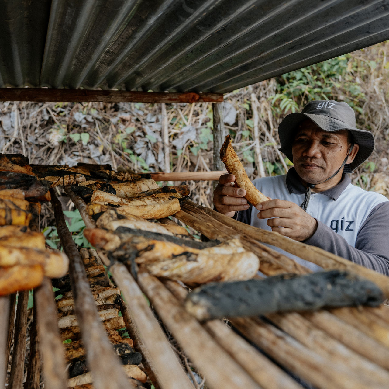 Natural Rubber Harvesting