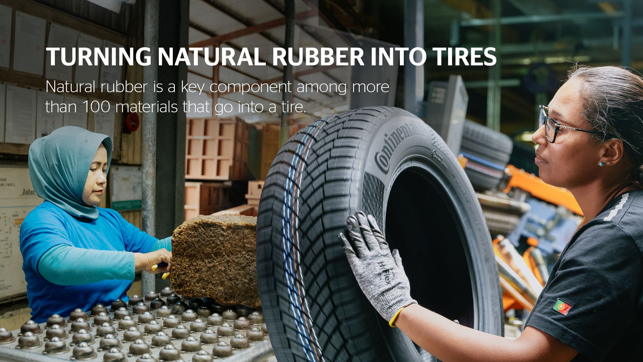 Info Slider Natural Rubber to Tire