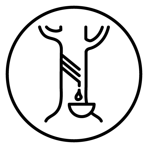 Icon Natural Rubber Tree