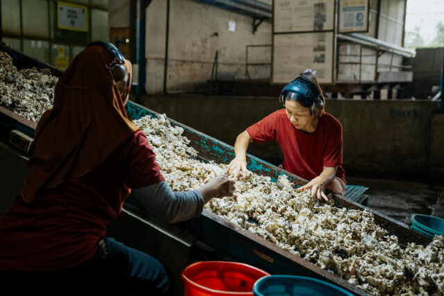 Natural Rubber Processing Plant Indonesia