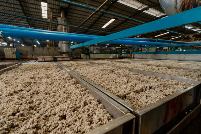 Natural Rubber Processing Plant Indonesia