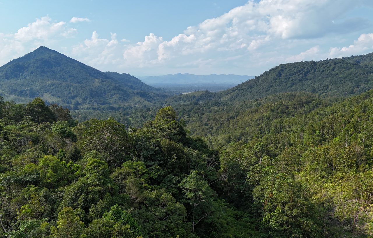 The Taman Nasional Danau Sentarum National Park, Borneo, Indonesia
