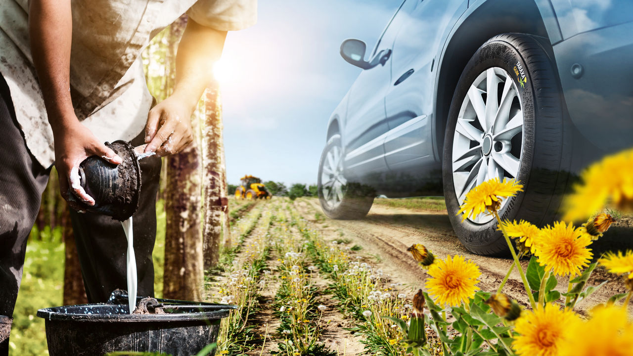 Collage of a field with dandelions, a person harvesting rubber and a car