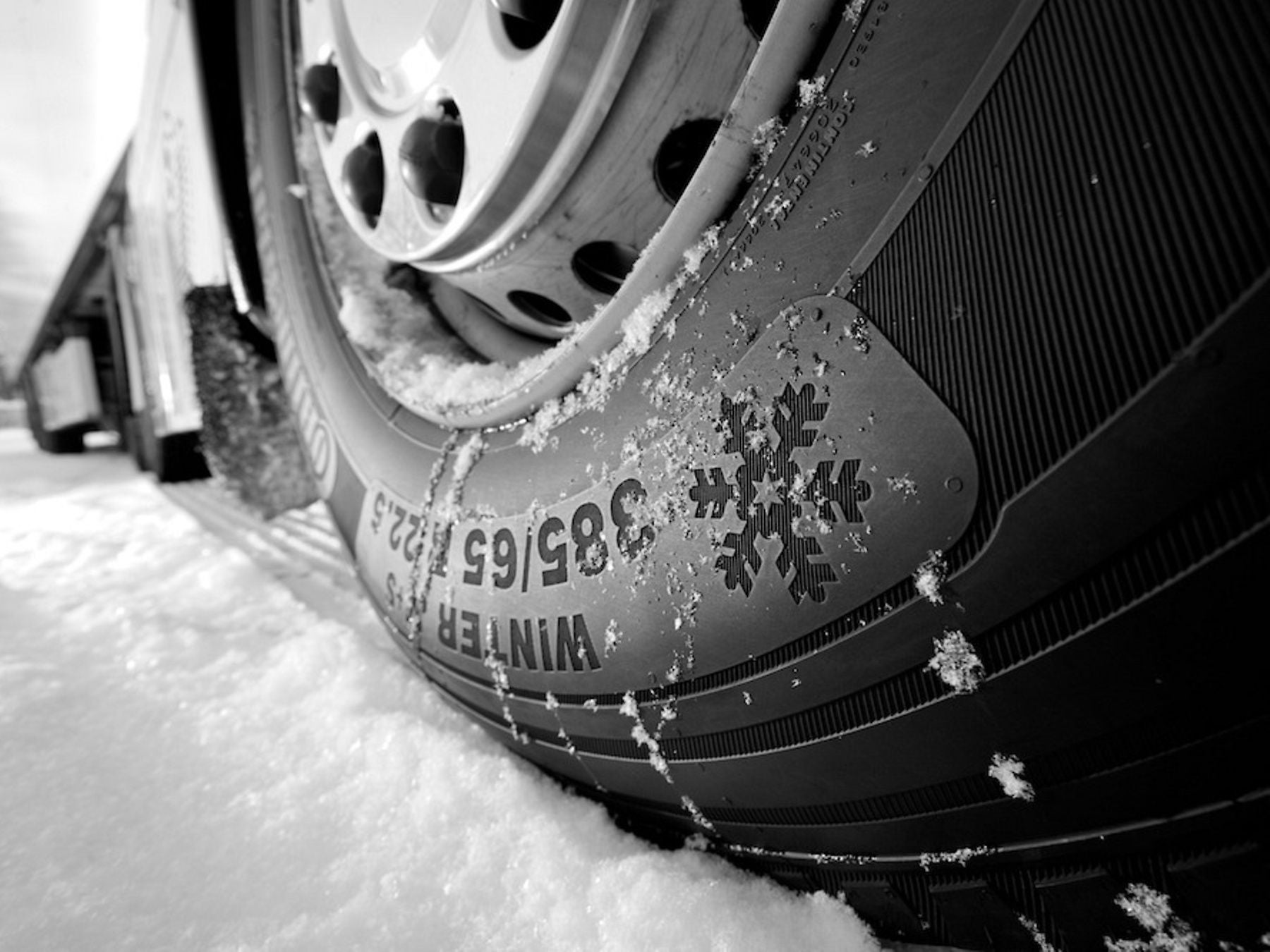 Winter Stage