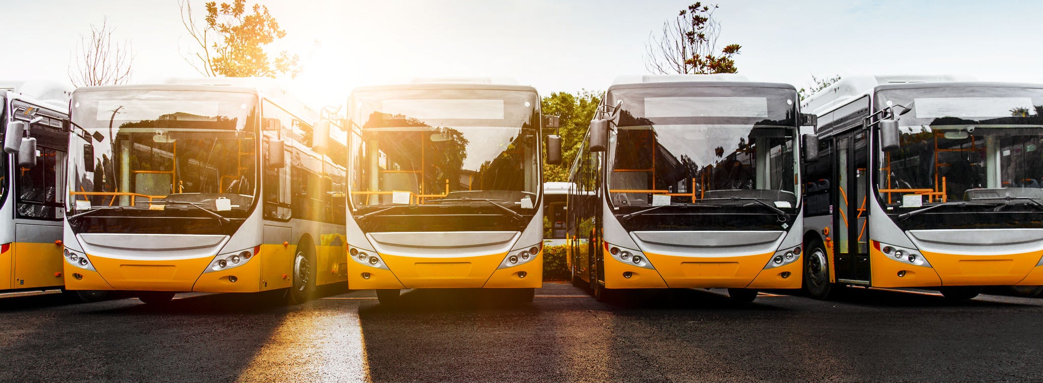 Electric Bus fleet