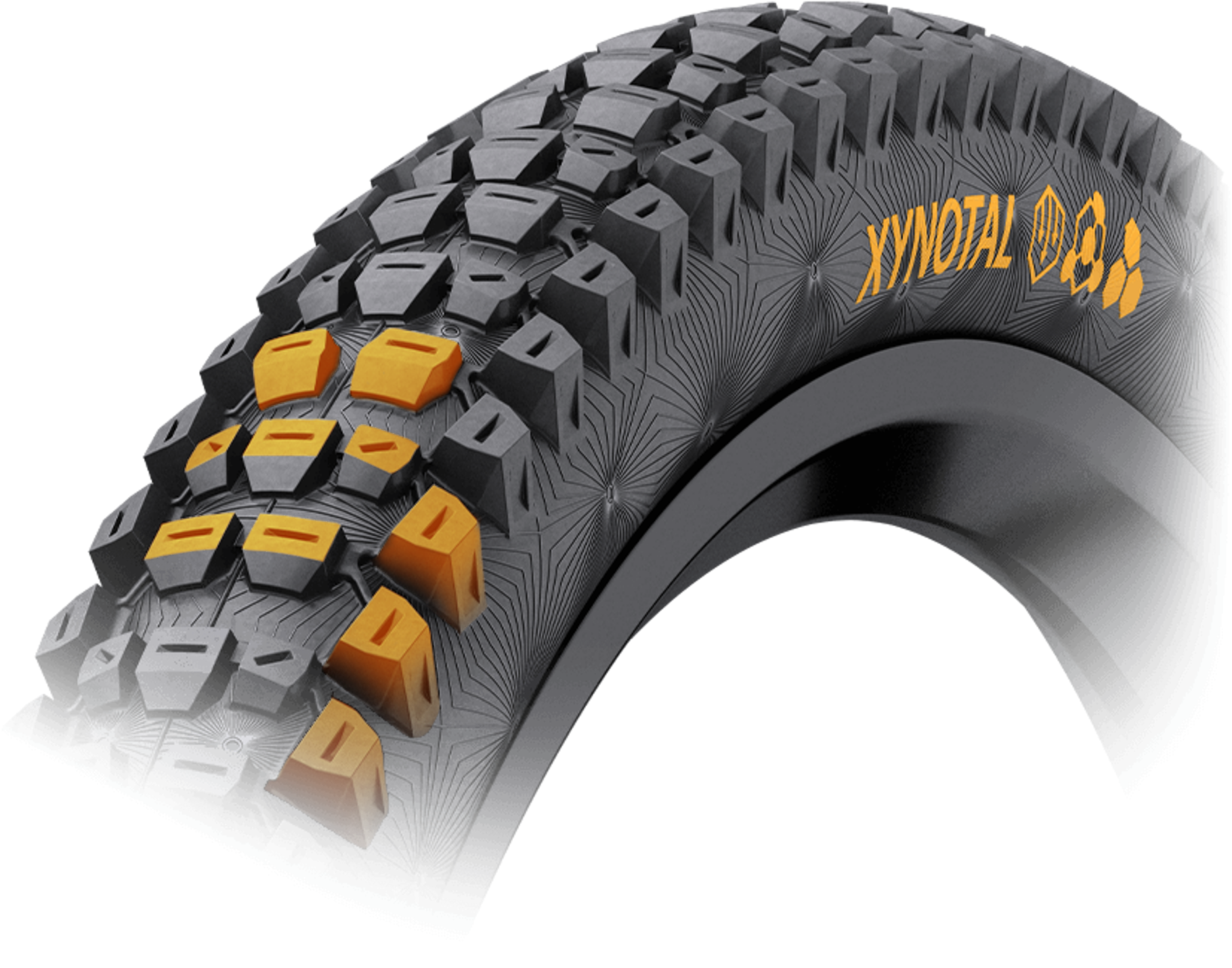 Xynotal: Grip to push your limits Xynotal: Grip to push your limits