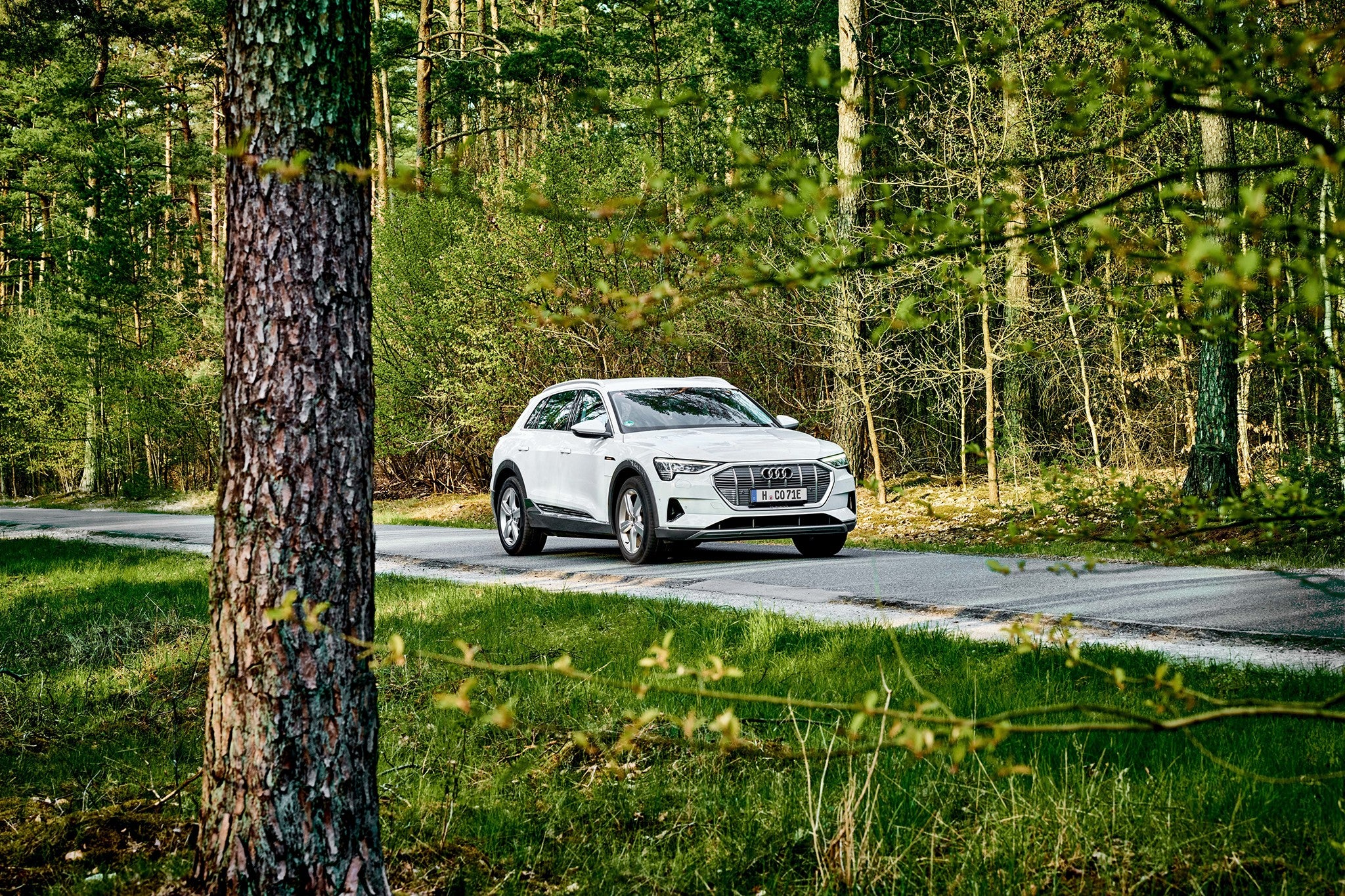 Car driving in the wood.