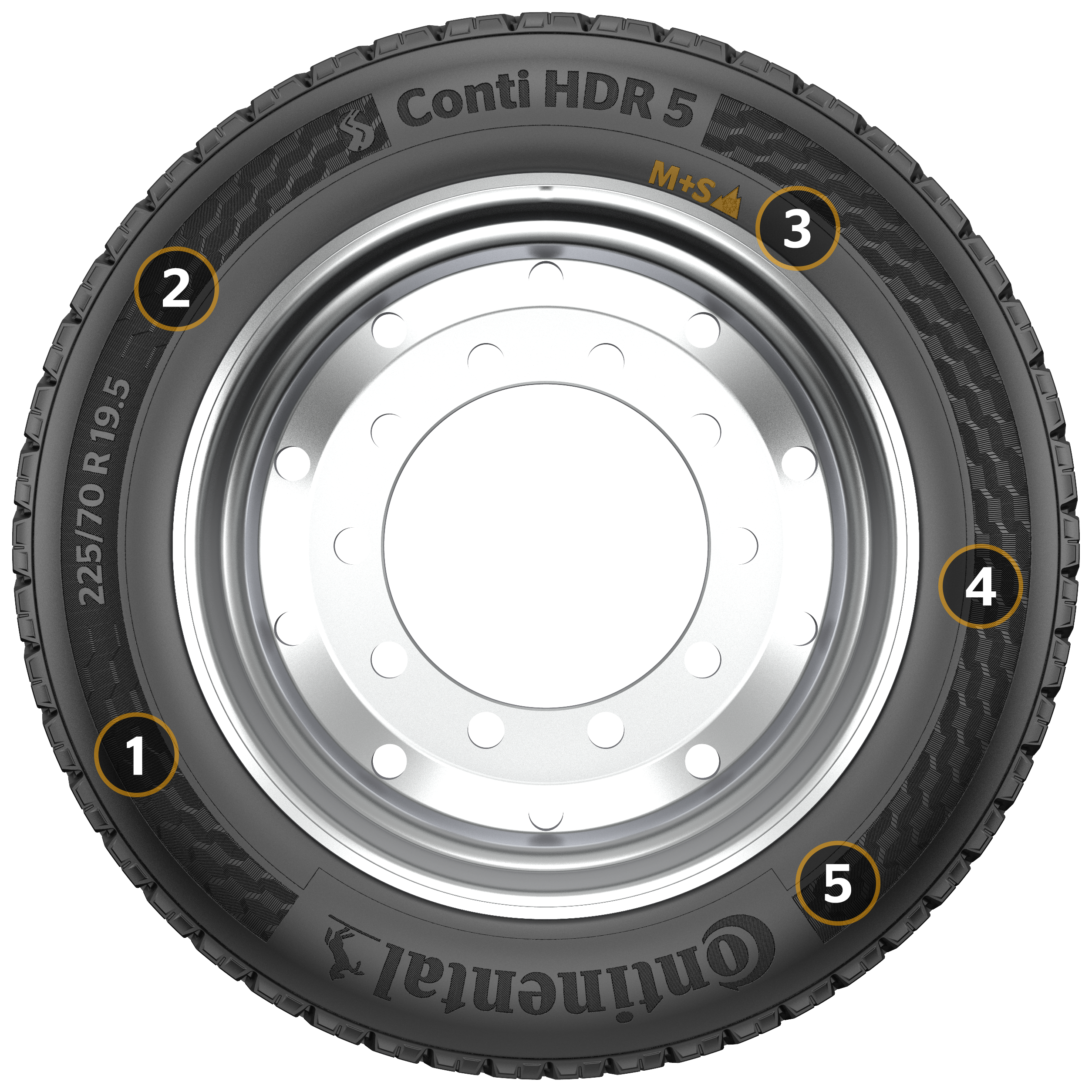 Conti HDR 5 sidewall