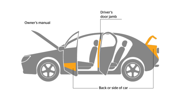  Infografik som visar var på bilen du kan hitta däckstorleken