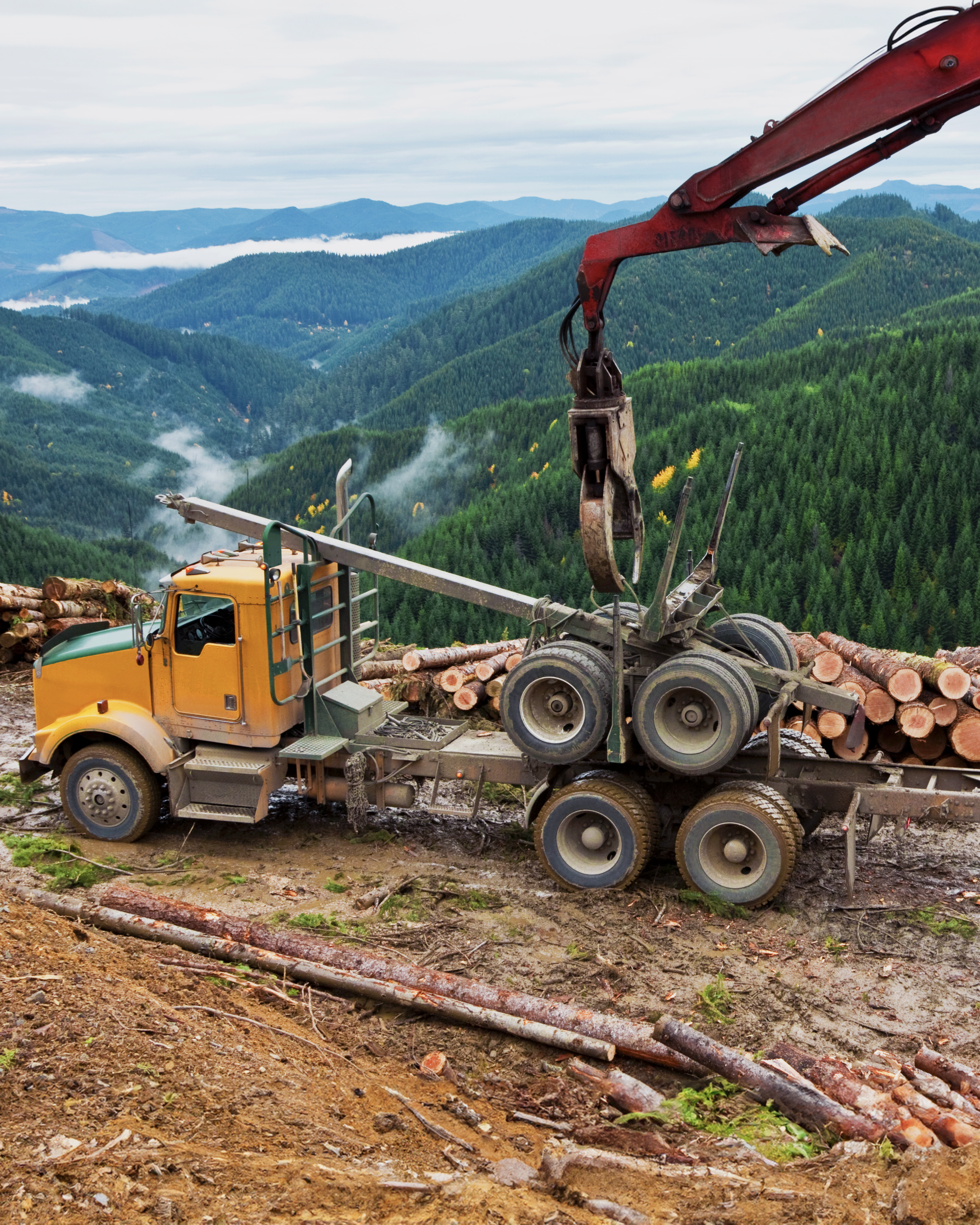 Logging truck in a mountainous area being loaded with timber