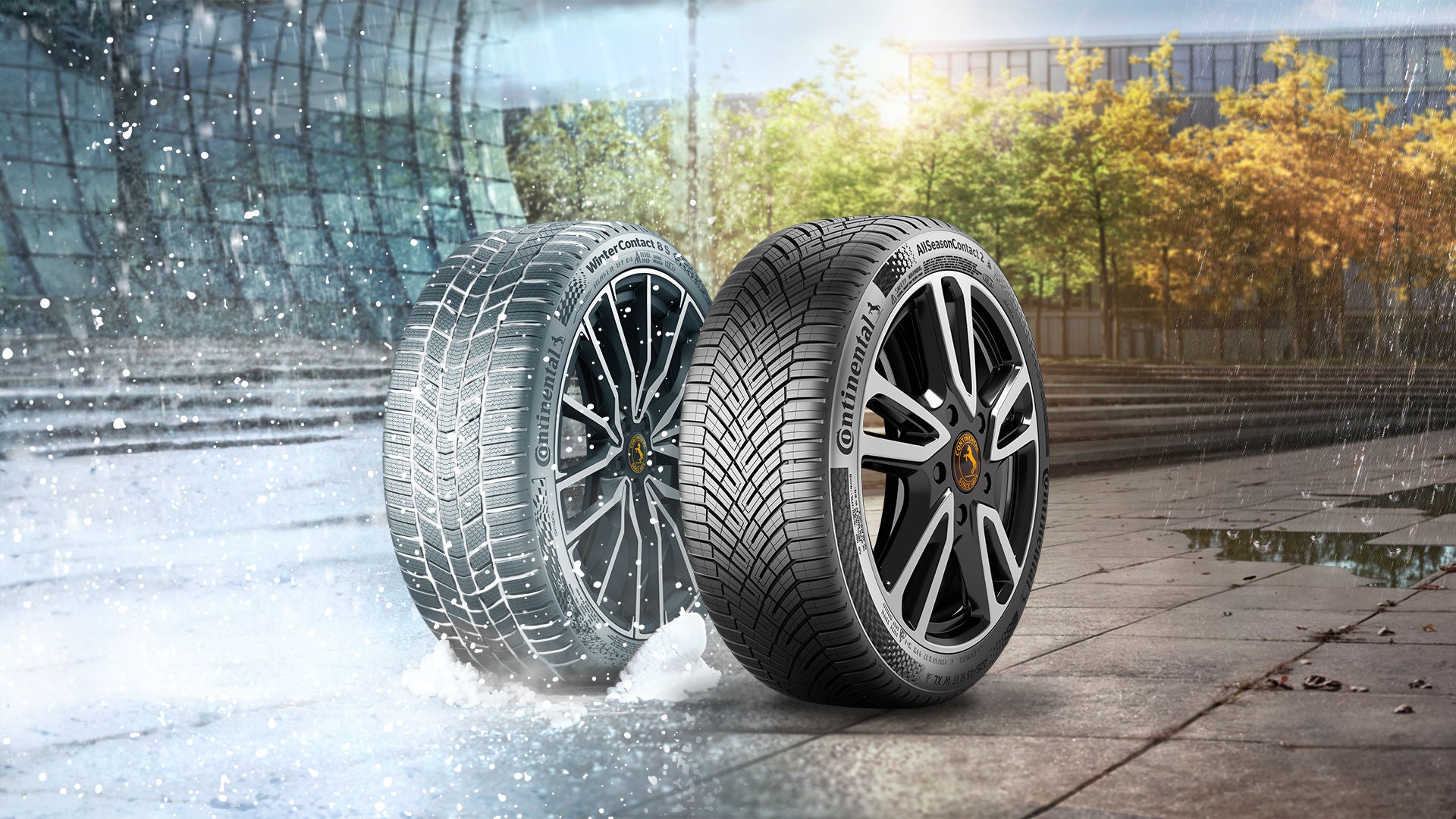 Continental allseason achtergrond met 1 allseasonbanden en 1 winterband