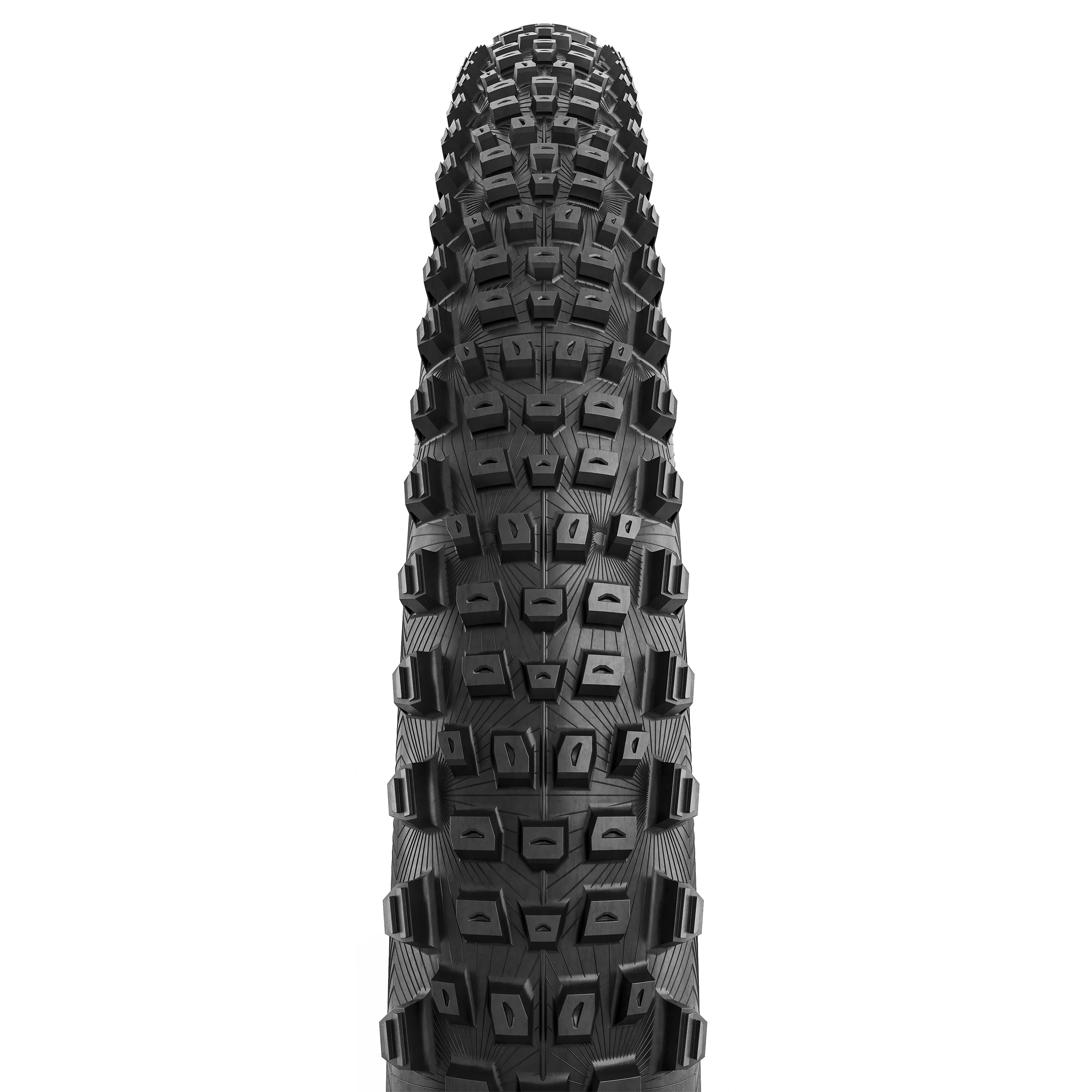 CONTINENTAL MAGNOTAL 29x2.4 チューブレスレディタイヤ Magnotal | Continental Bicycle Tires