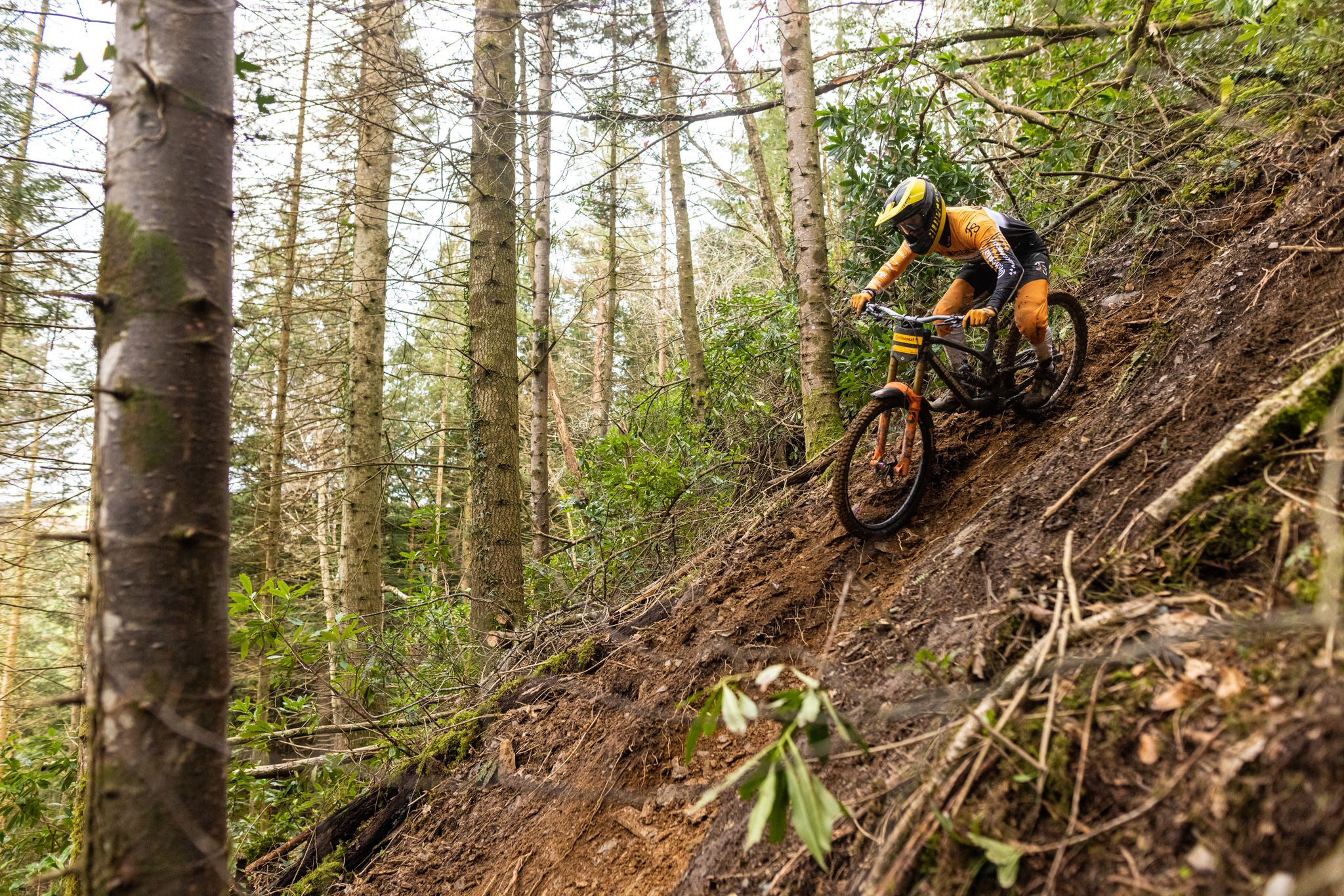 Dyfi_Conti_Shift_March_2022-