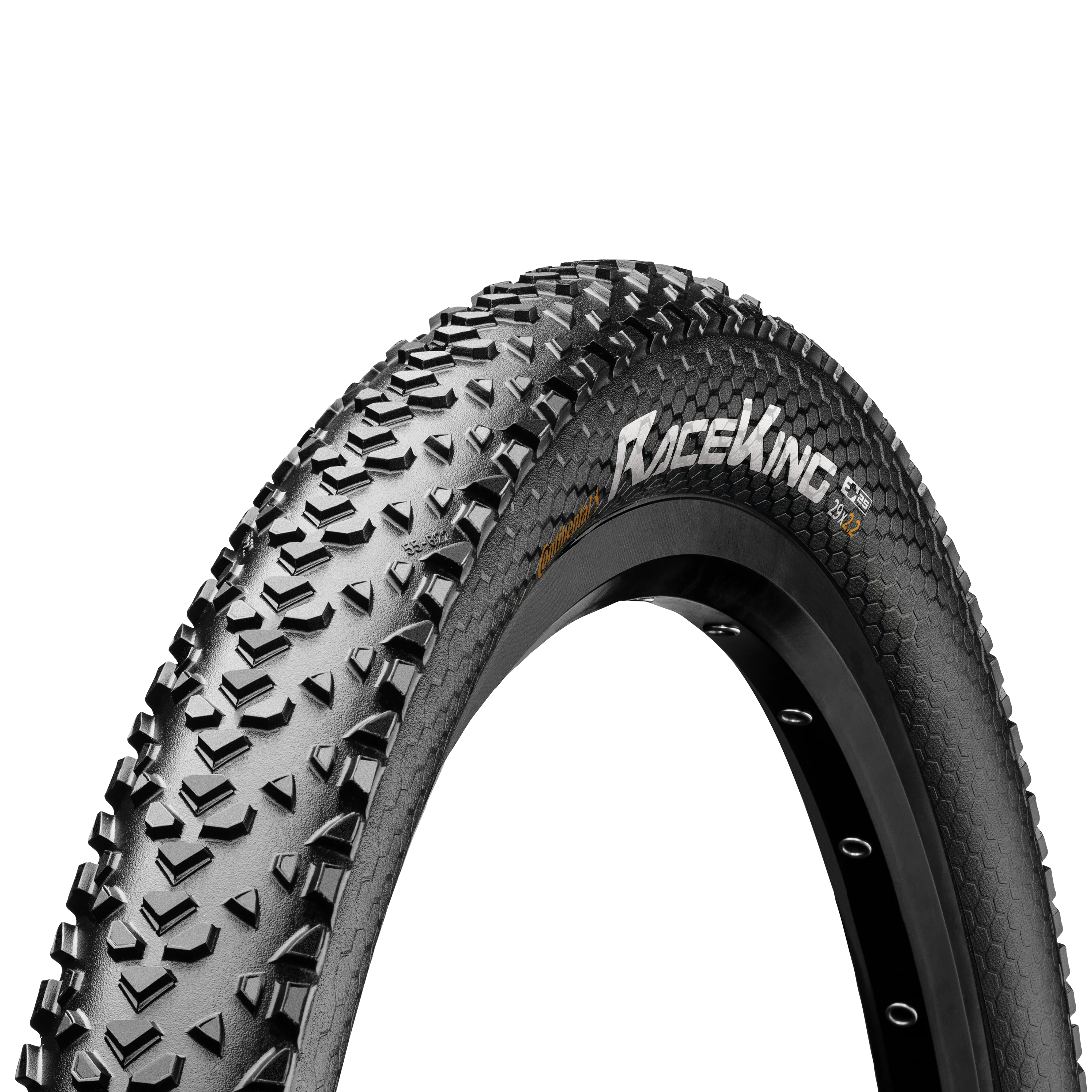 Continental race 2025 king race sport