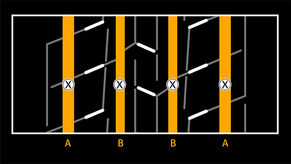 ContiLifeCycle