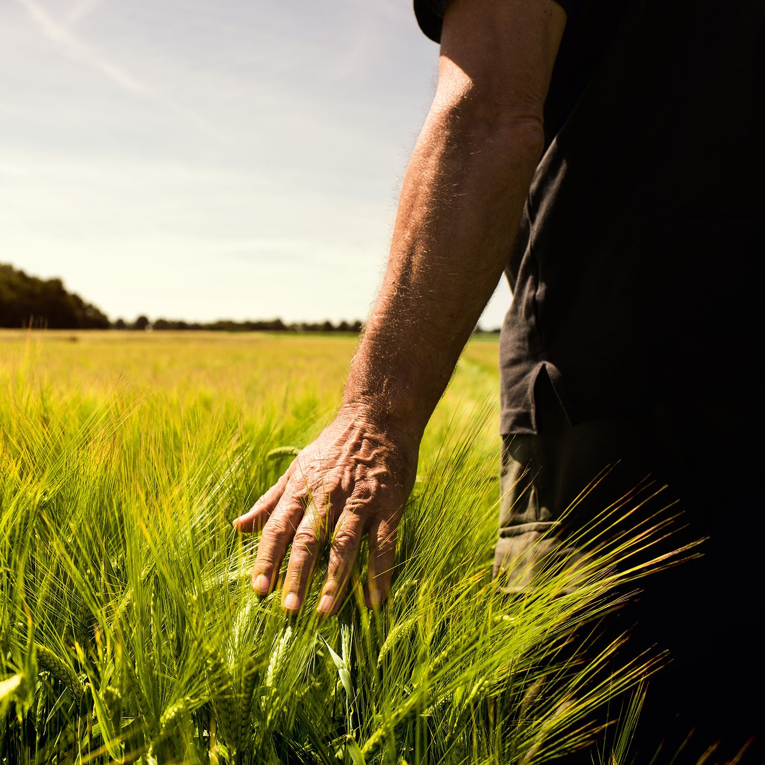 With Heart and Soil