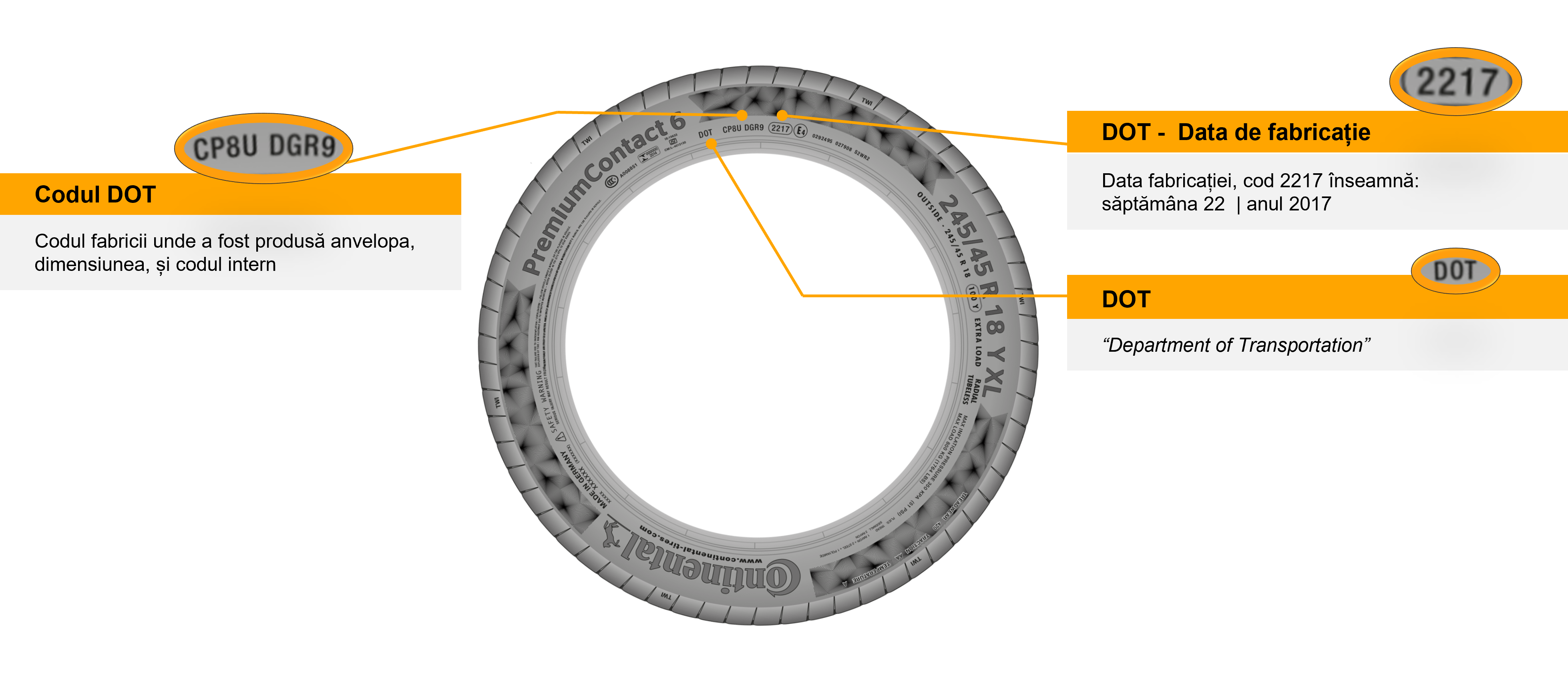 Vârsta anvelopelor și codul DOT | Infografic | Continental Anvelope