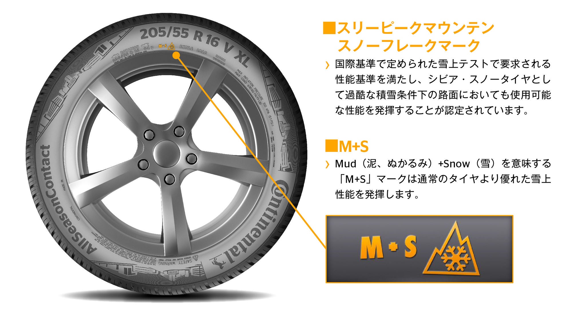 『スリー・ピー ク・マウンテン・スノーフレーク』と『M+S』