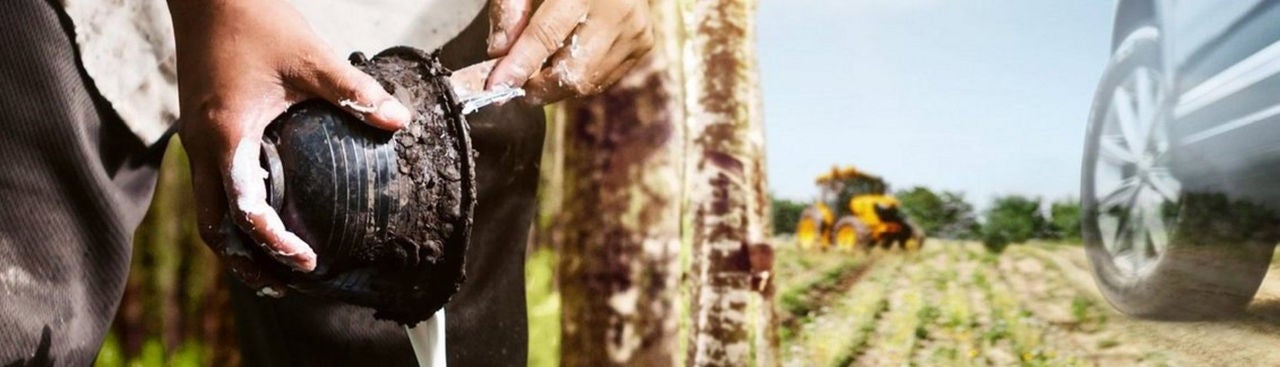 A composition of two hands scraping milk out of a jar, a tractor in a field and a car with a dandelion in front of it