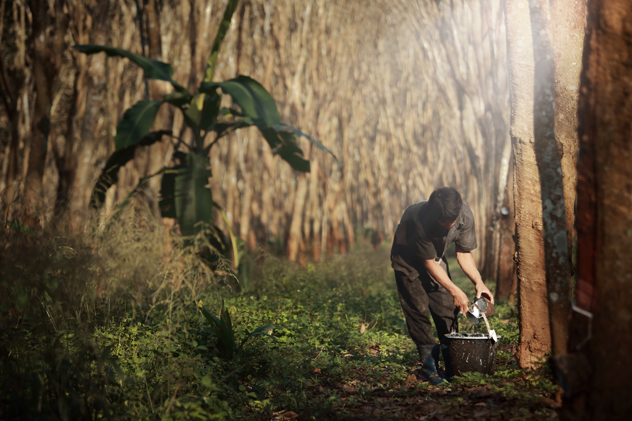 Continental responsibly sourced natural rubber