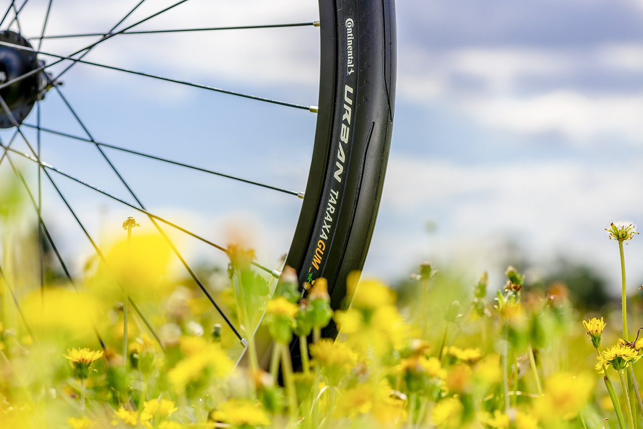 Le pissenlit est utilisé pour notre pneu vélo Urban Taraxagum