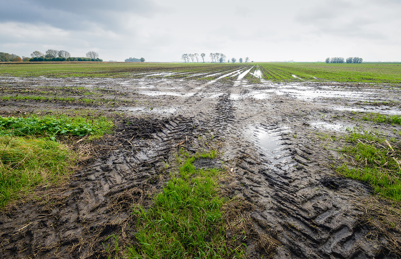 Landwirte zu Vorsicht bei nassen Böden ermahnt