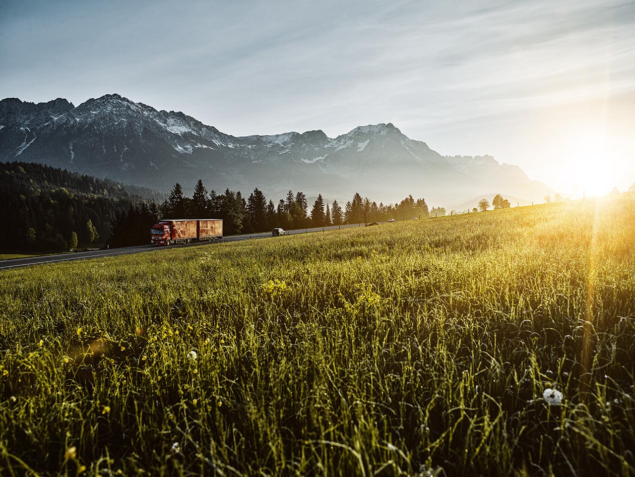 Truck on a motorway in the Mountains in front of a green field.