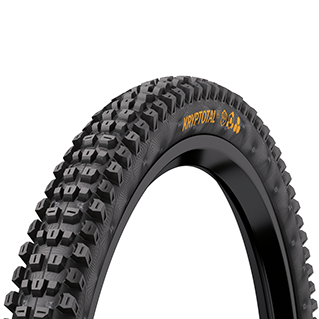 Continental mountain top bike tires