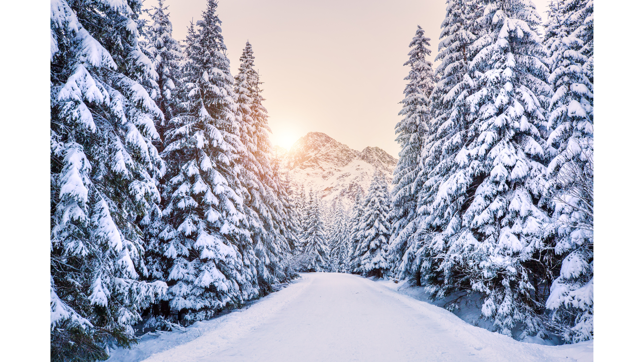 Winter landscape 3 - 1