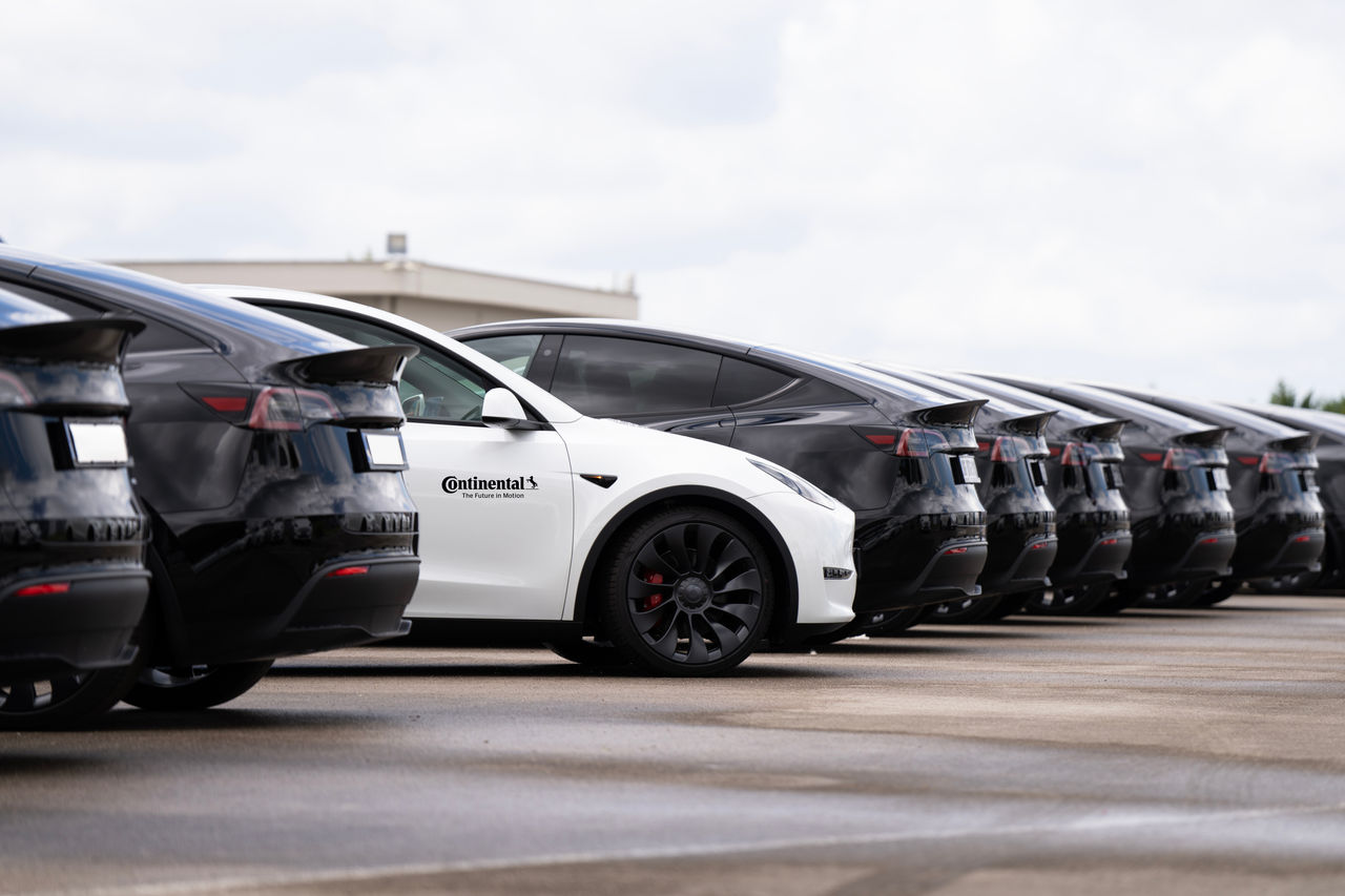 Model Y