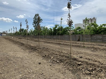 Investiție în mediu, în valoare de 240.000 euro, făcută de Continental Anvelope Timișoara