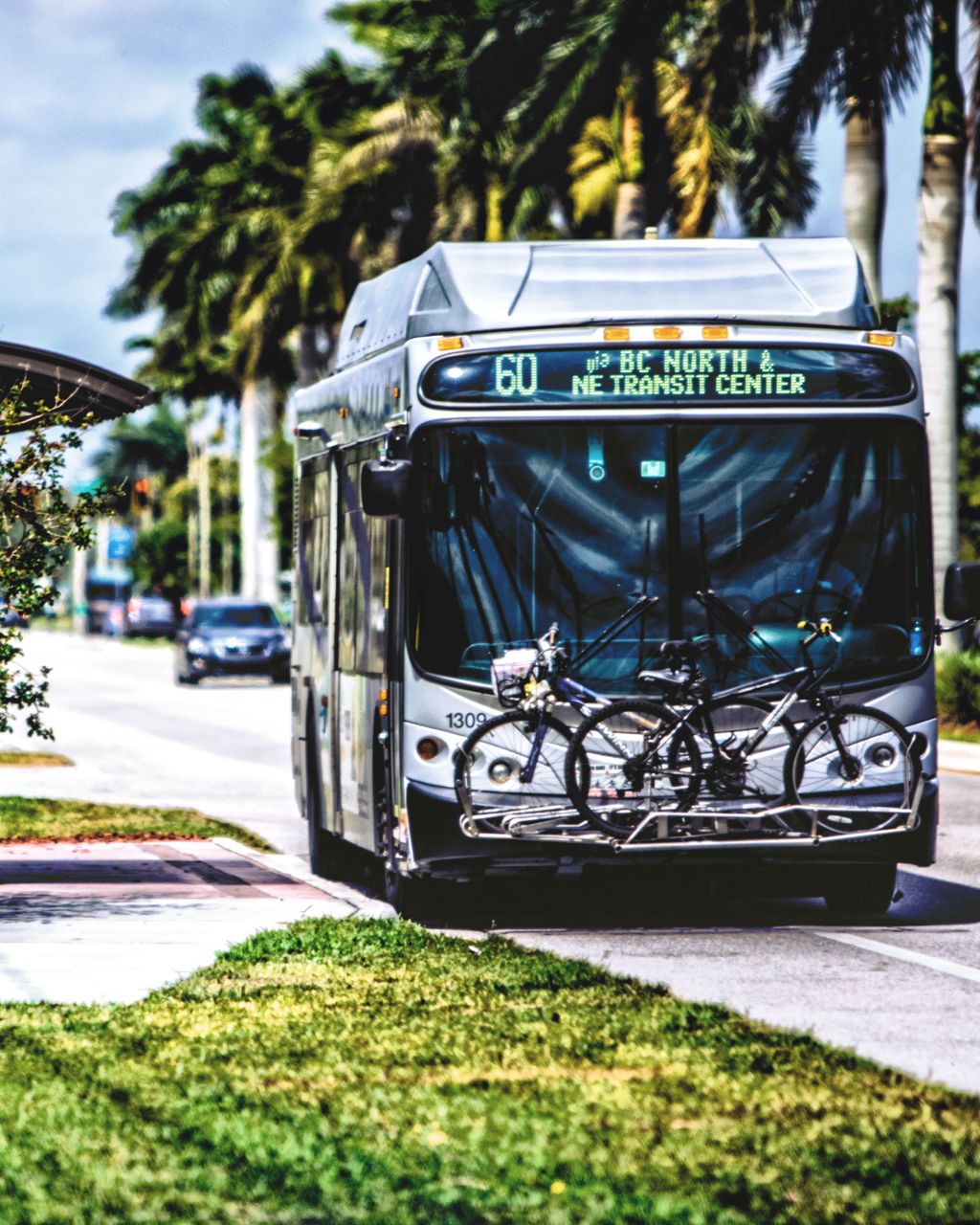 Urban