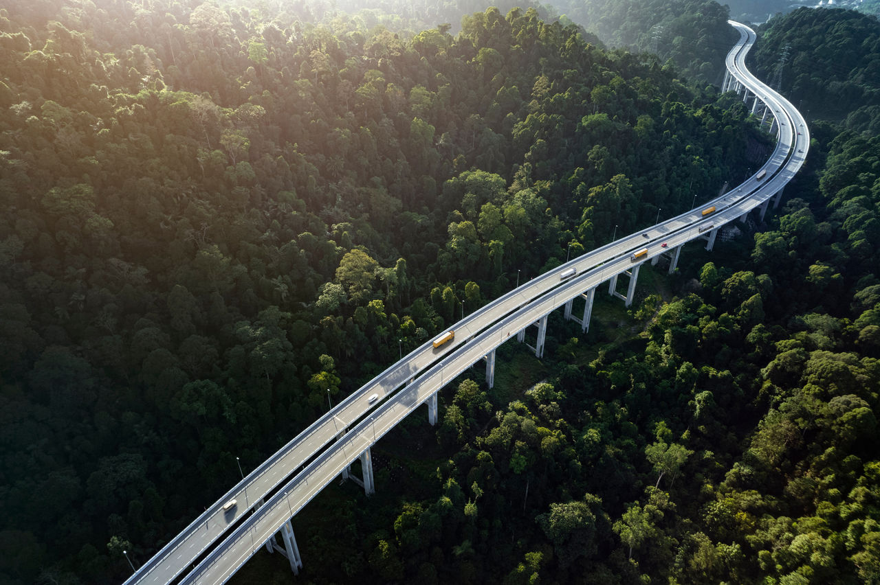 A winding elevated highway with vehicles travels through dense, green forested hills, lit by soft sunlight from above.