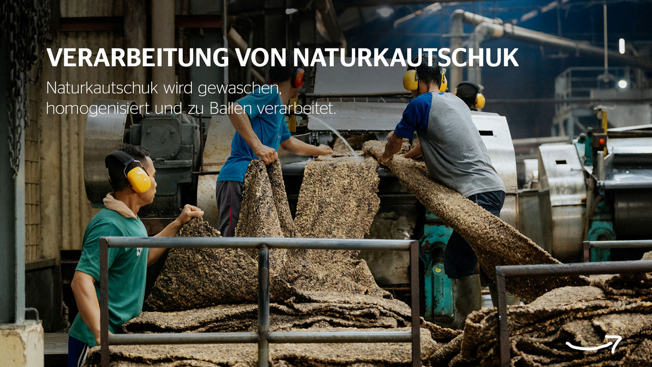 Infografik Naturkautschuk Fabrik