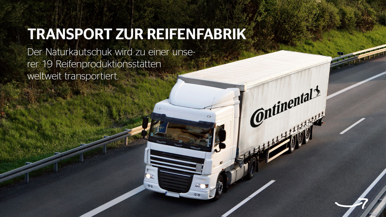Infografik Naturkautschuk Transport