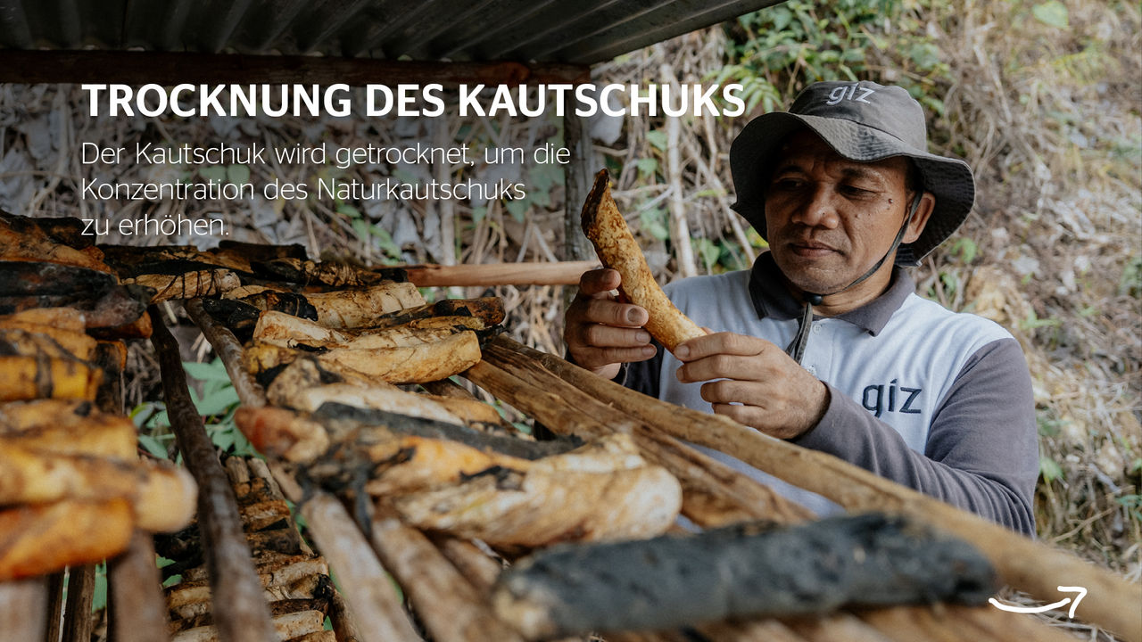 Infografik Naturkautschuk Trocknung