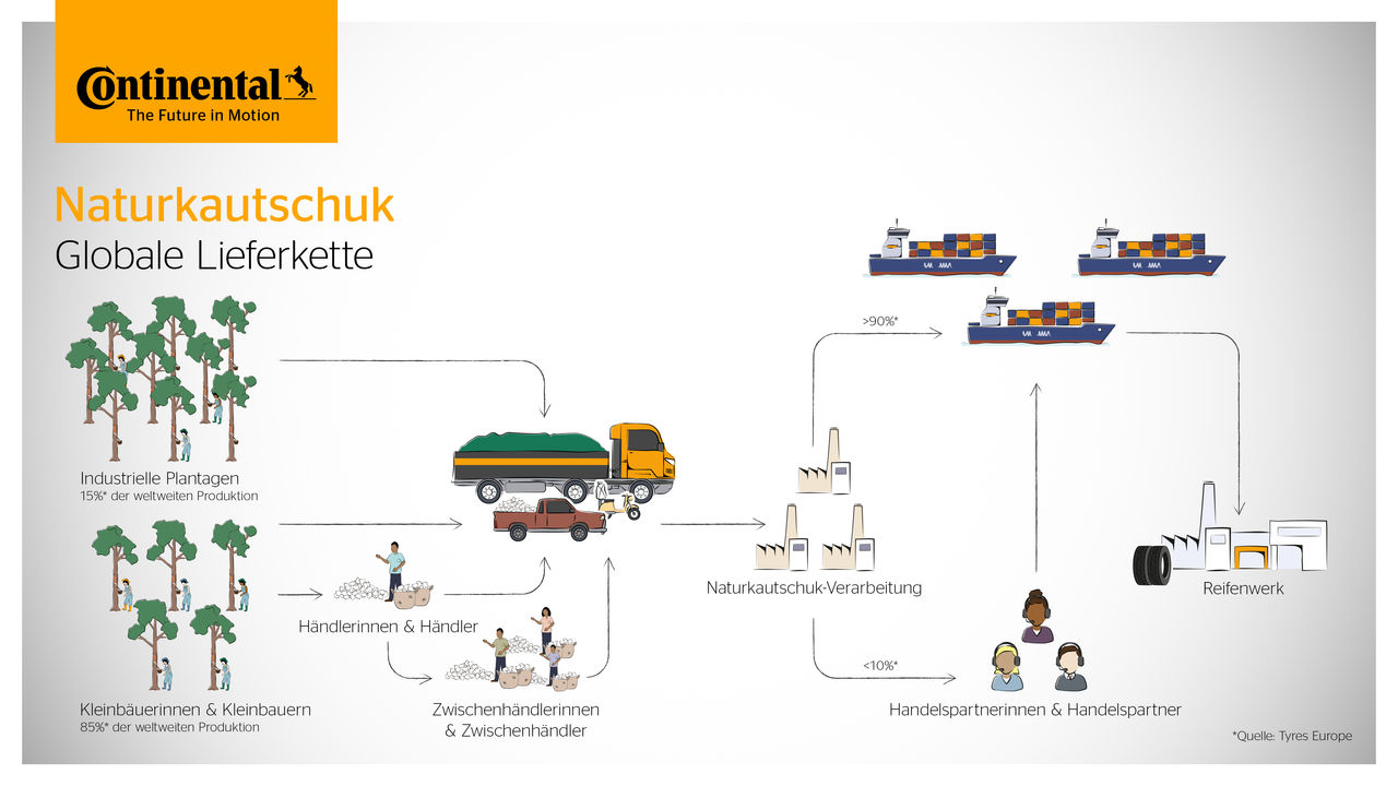 Naturkautschuk Lieferkette Infografik