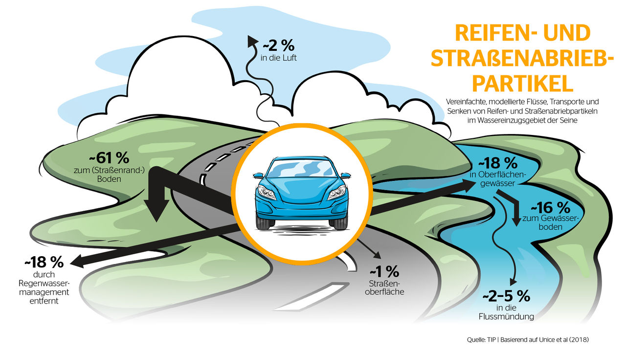Infographic for TRWP