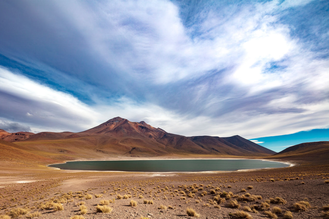 Desierto chileno 