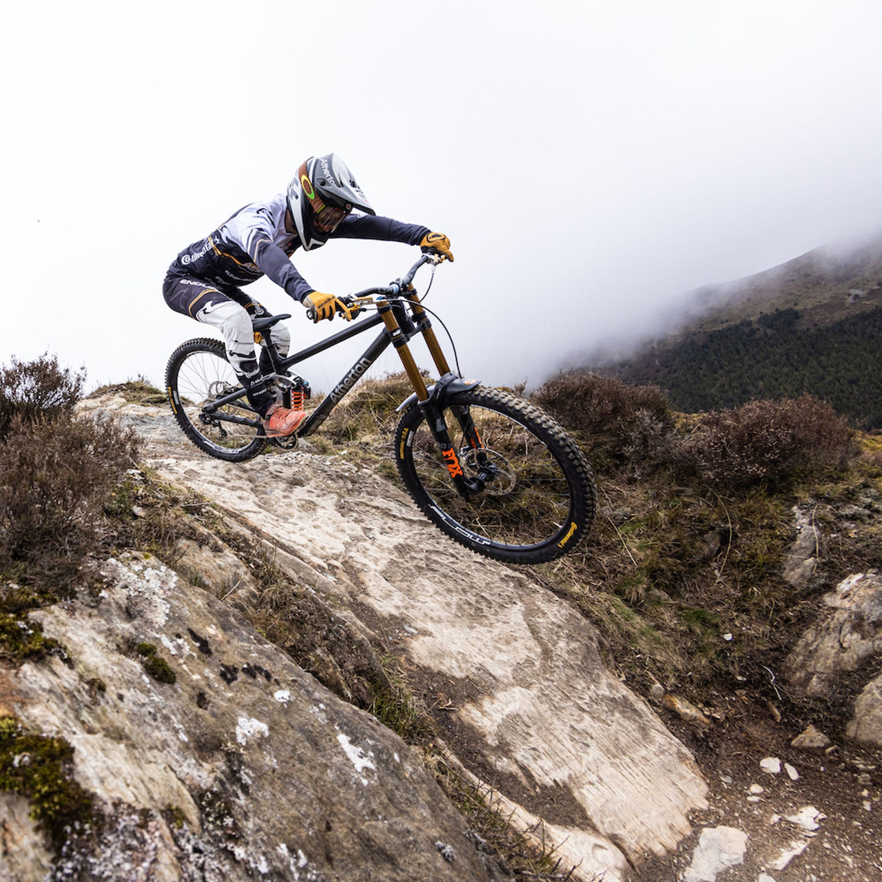 VTT