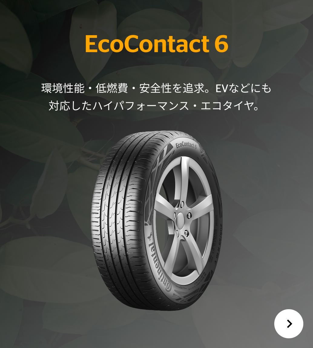 EcoContact 6
