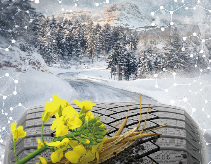 VikingContact 8の「ノルディック・ウインター・コンパウンド」を説明するイメージ図。