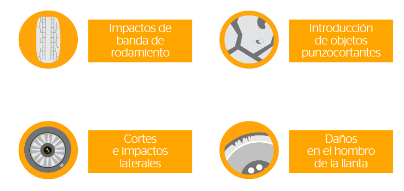 Contisafe garantía gratuita