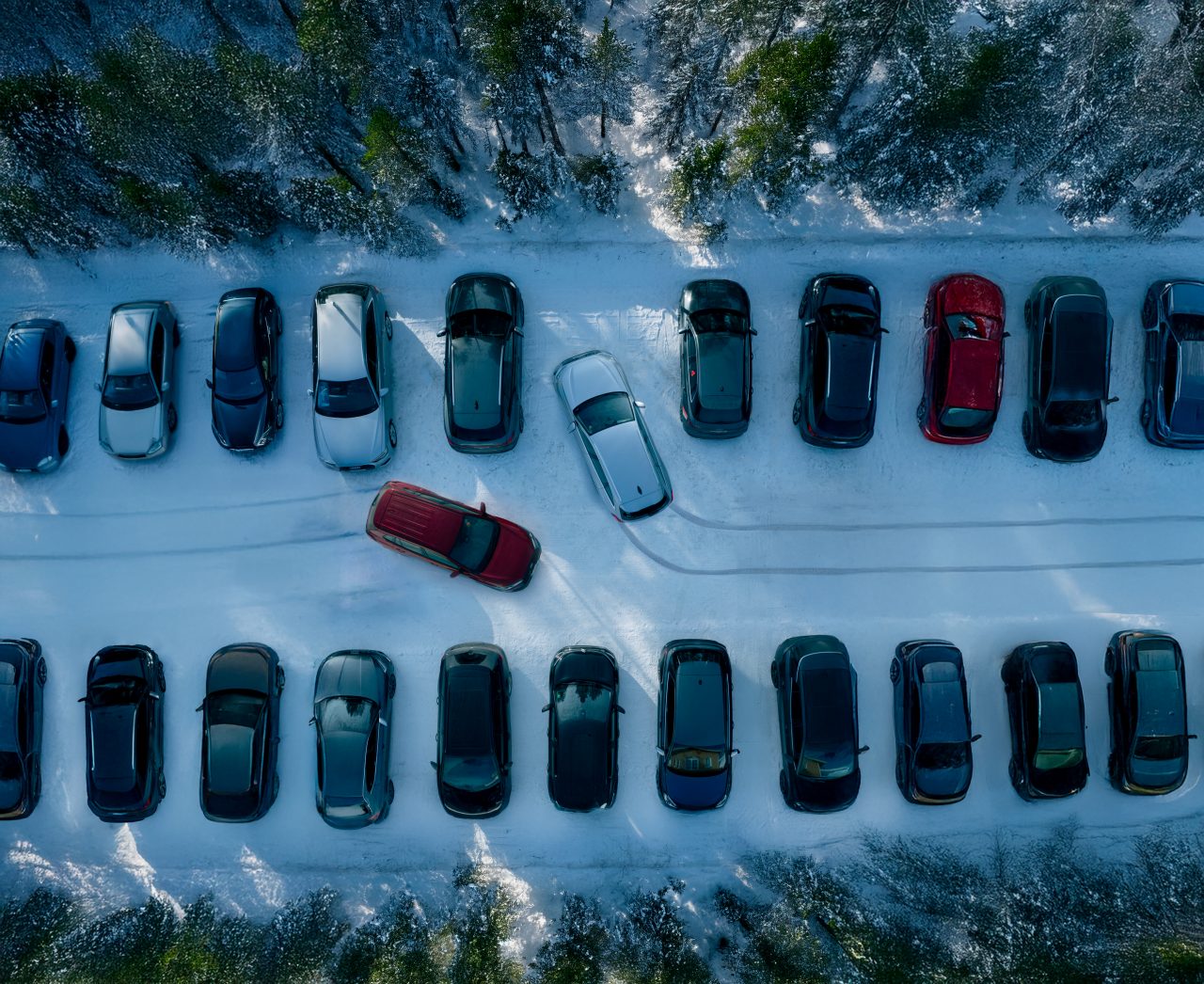 Winter Campaign 2025
