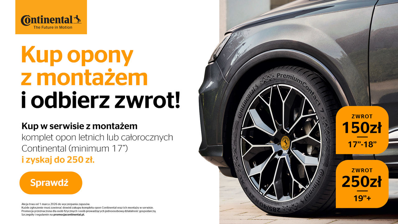 wszyscy kochają zwycięzców