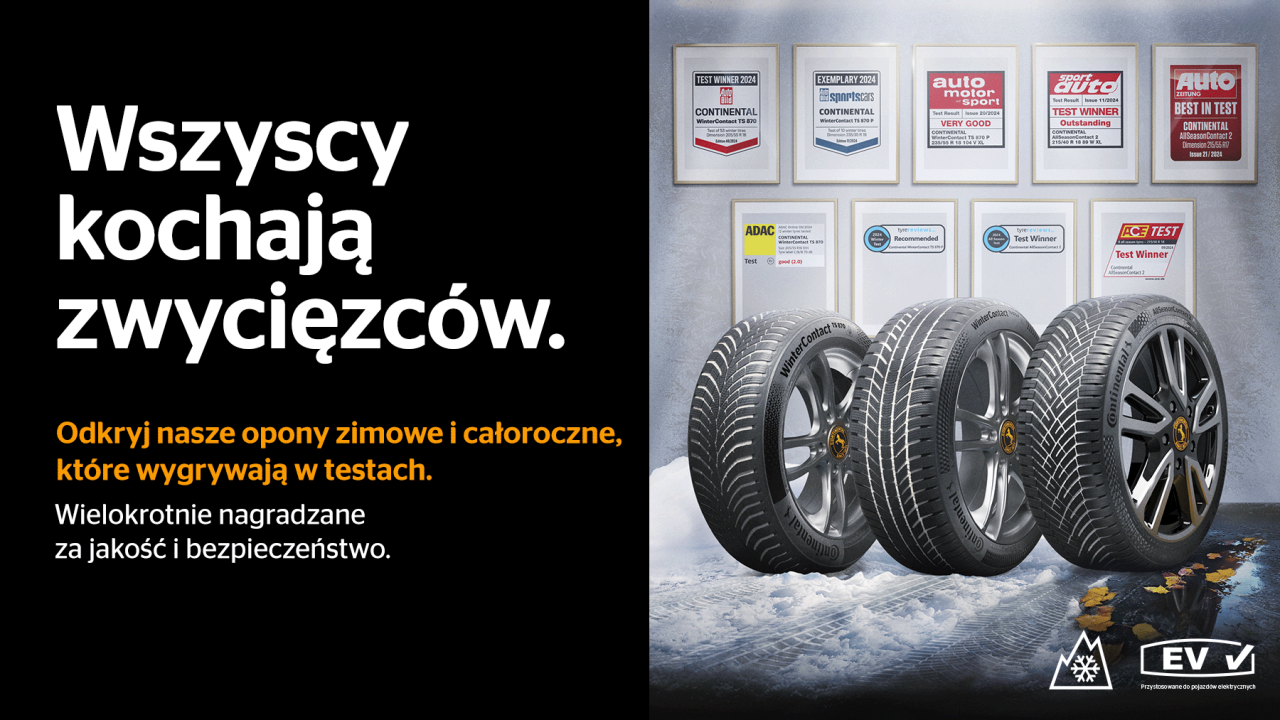 wszyscy kochają zwycięzców