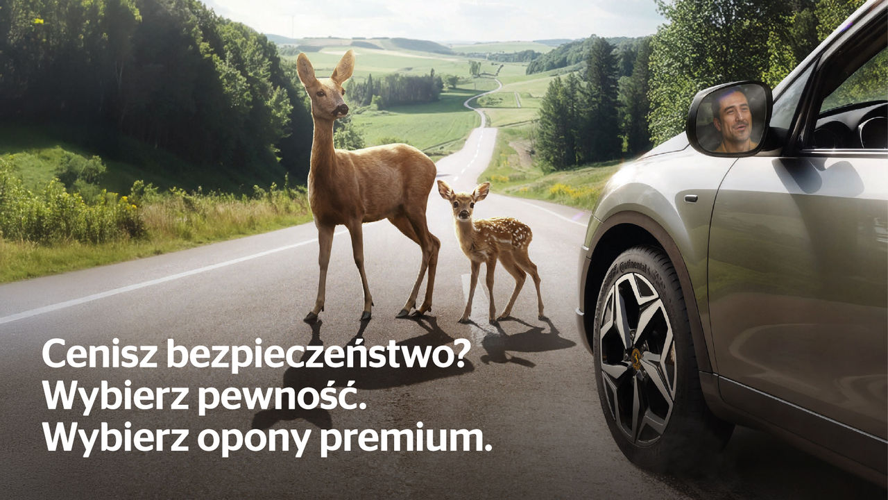 wszyscy kochają zwycięzców