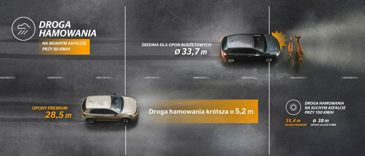 summer-breaking_road